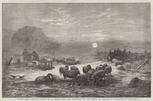 Winter, Sheep Feeding, från Målaresällskapets utställning i vattenfärger